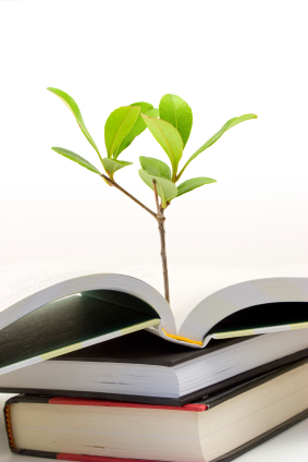 Small plant growing out of open book
